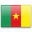 Flag Камерун